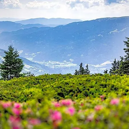 Hotell Kreischberg By Alps